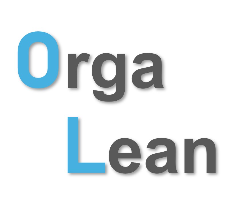 OrgaLean LOGO Carre V2